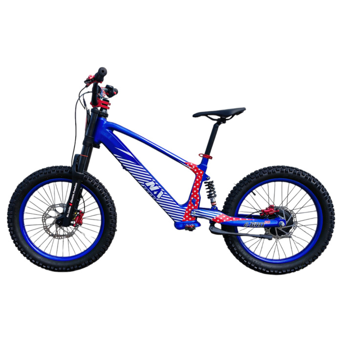 NAI e-BRO 20 Elektromotorrad Modell 2025