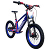 NAI e-BRO 20 Elektromotorrad Modell 2025